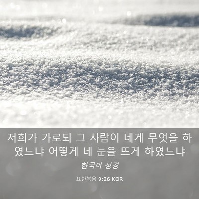 Picture 03 - 요한복음 9:26 KOR - 저희가 가로되 그 사람이 네게 - Bible Verse Picture