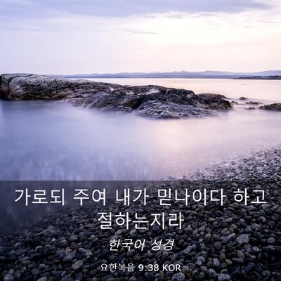 Picture 03 - 요한복음 9:38 KOR - 가로되 주여 내가 믿나이다 하고 - Bible Verse Picture