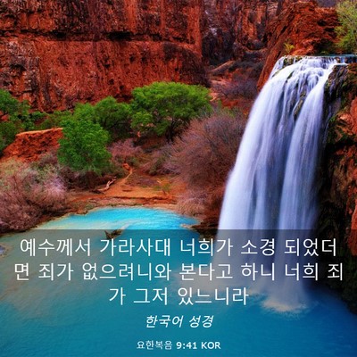 Picture 03 - 요한복음 9:41 KOR - 예수께서 가라사대 너희가 소경 - Bible Verse Picture