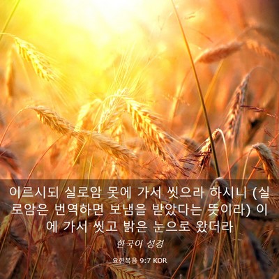 Picture 03 - 요한복음 9:7 KOR - 이르시되 실로암 못에 가서 씻으라 - Bible Verse Picture