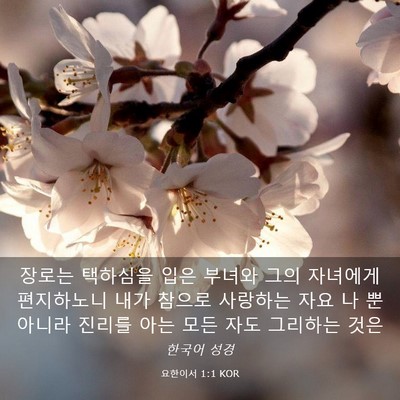Picture 03 - 요한이서 1:1 KOR - 장로는 택하심을 입은 부녀와 그의 - Bible Verse Picture
