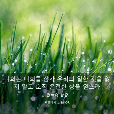 Picture 03 - 요한이서 1:8 KOR - 너희는 너희를 삼가 우리의 일한 - Bible Verse Picture
