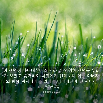 Picture 03 - 요한일서 1:2 KOR - 이 생명이 나타내신바 된지라 이 - Bible Verse Picture