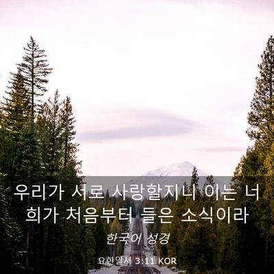 Picture 03 - 요한일서 3:11 KOR - 우리가 서로 사랑할지니 이는 너희가 - Bible Verse Picture