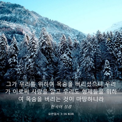 Picture 03 - 요한일서 3:16 KOR - 그가 우리를 위하여 목숨을 - Bible Verse Picture