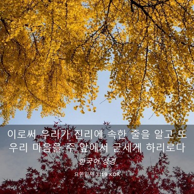 Picture 03 - 요한일서 3:19 KOR - 이로써 우리가 진리에 속한 줄을 - Bible Verse Picture