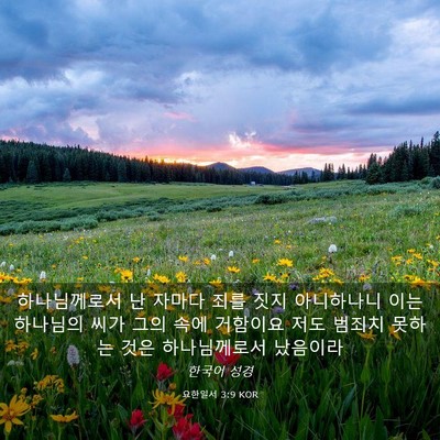 Picture 03 - 요한일서 3:9 KOR - 하나님께로서 난 자마다 죄를 짓지 - Bible Verse Picture