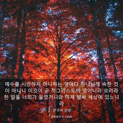 Picture 03 - 요한일서 4:3 KOR - 예수를 시인하지 아니하는 영마다 - Bible Verse Picture