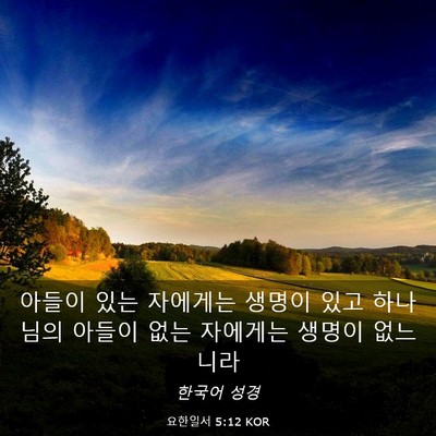 Picture 03 - 요한일서 5:12 KOR - 아들이 있는 자에게는 생명이 있고 - Bible Verse Picture