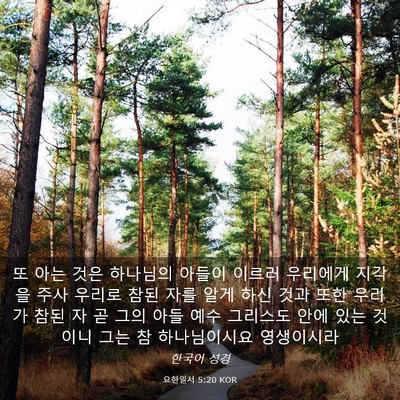 Picture 03 - 요한일서 5:20 KOR - 또 아는 것은 하나님의 아들이 - Bible Verse Picture