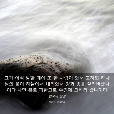 Picture 03 - 욥기 1:16 KOR - 그가 아직 말할 때에 또 한 사람이 - Bible Verse Picture