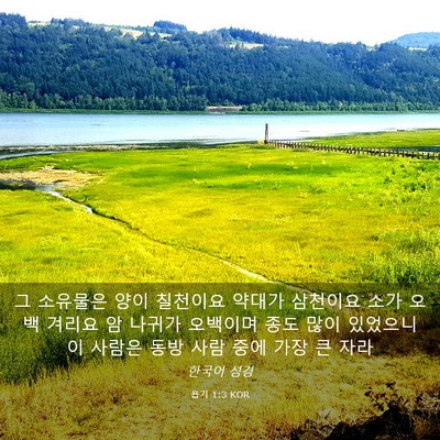 Picture 03 - 욥기 1:3 KOR - 그 소유물은 양이 칠천이요 약대가 - Bible Verse Picture