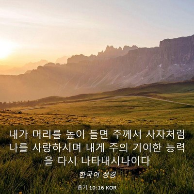 Picture 03 - 욥기 10:16 KOR - 내가 머리를 높이 들면 주께서 - Bible Verse Picture