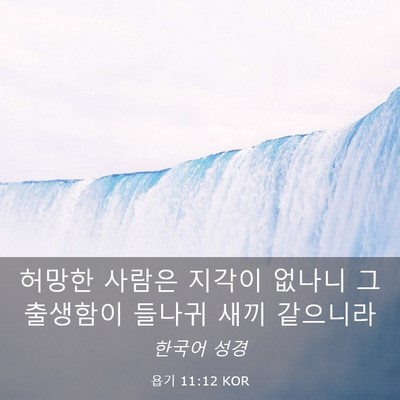 Picture 03 - 욥기 11:12 KOR - 허망한 사람은 지각이 없나니 그 - Bible Verse Picture