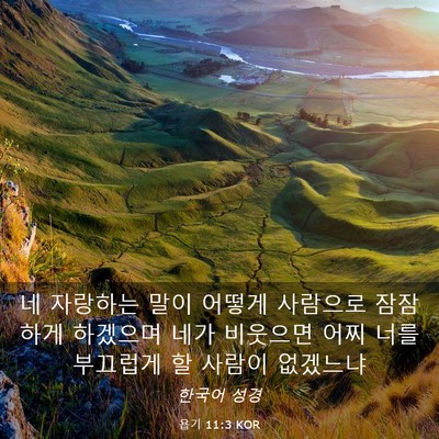 Picture 03 - 욥기 11:3 KOR - 네 자랑하는 말이 어떻게 사람으로 - Bible Verse Picture