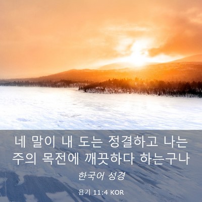 Picture 03 - 욥기 11:4 KOR - 네 말이 내 도는 정결하고 나는 주의 - Bible Verse Picture