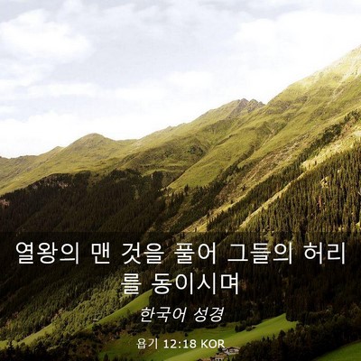 Picture 03 - 욥기 12:18 KOR - 열왕의 맨 것을 풀어 그들의 허리를 - Bible Verse Picture