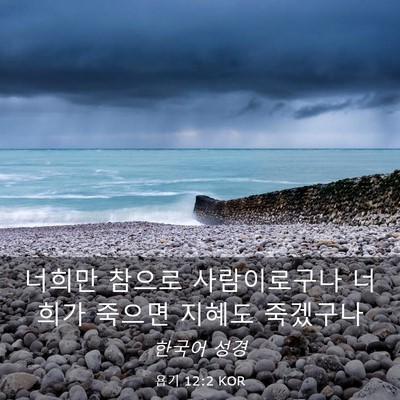 Picture 03 - 욥기 12:2 KOR - 너희만 참으로 사람이로구나 너희가 - Bible Verse Picture