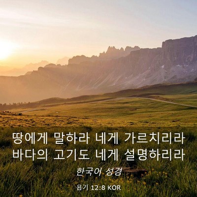 Picture 03 - 욥기 12:8 KOR - 땅에게 말하라 네게 가르치리라 - Bible Verse Picture