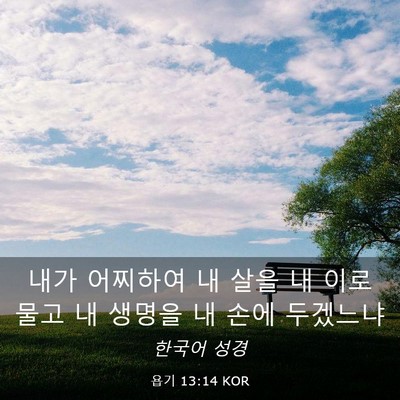 Picture 03 - 욥기 13:14 KOR - 내가 어찌하여 내 살을 내 이로 물고 - Bible Verse Picture