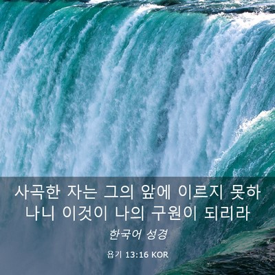 Picture 03 - 욥기 13:16 KOR - 사곡한 자는 그의 앞에 이르지 - Bible Verse Picture