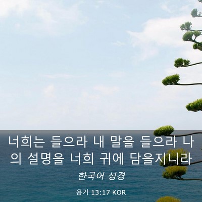 Picture 03 - 욥기 13:17 KOR - 너희는 들으라 내 말을 들으라 나의 - Bible Verse Picture