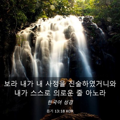 Picture 03 - 욥기 13:18 KOR - 보라 내가 내 사정을 진술하였거니와 - Bible Verse Picture