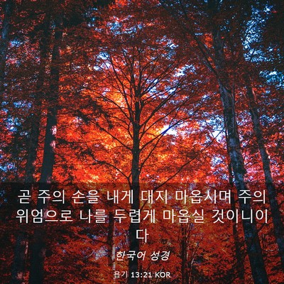 Picture 03 - 욥기 13:21 KOR - 곧 주의 손을 내게 대지 마옵시며 - Bible Verse Picture