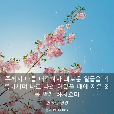 Picture 03 - 욥기 13:26 KOR - 주께서 나를 대적하사 괴로운 일들을 - Bible Verse Picture