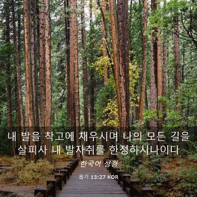 Picture 03 - 욥기 13:27 KOR - 내 발을 착고에 채우시며 나의 모든 - Bible Verse Picture
