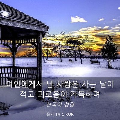 Picture 03 - 욥기 14:1 KOR - 여인에게서 난 사람은 사는 날이 - Bible Verse Picture