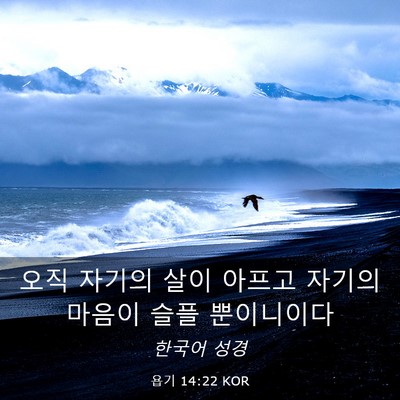 Picture 03 - 욥기 14:22 KOR - 오직 자기의 살이 아프고 자기의 - Bible Verse Picture