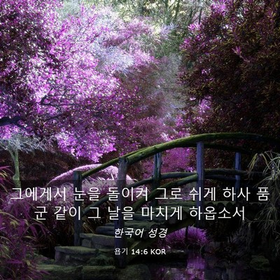 Picture 03 - 욥기 14:6 KOR - 그에게서 눈을 돌이켜 그로 쉬게 - Bible Verse Picture