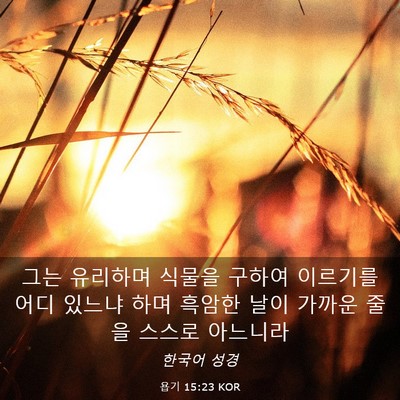 Picture 03 - 욥기 15:23 KOR - 그는 유리하며 식물을 구하여 - Bible Verse Picture