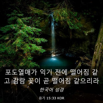 Picture 03 - 욥기 15:33 KOR - 포도열매가 익기 전에 떨어짐 같고 - Bible Verse Picture