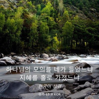 Picture 03 - 욥기 15:8 KOR - 하나님의 모의를 네가 들었느냐 - Bible Verse Picture