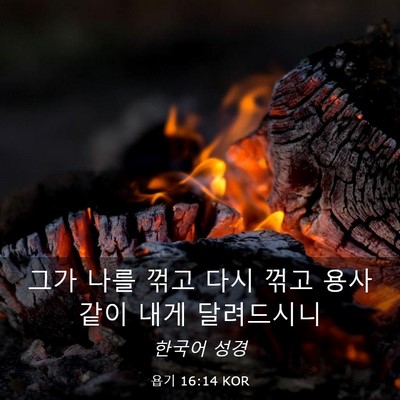 Picture 03 - 욥기 16:14 KOR - 그가 나를 꺾고 다시 꺾고 용사 같이 - Bible Verse Picture
