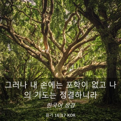 Picture 03 - 욥기 16:17 KOR - 그러나 내 손에는 포학이 없고 나의 - Bible Verse Picture