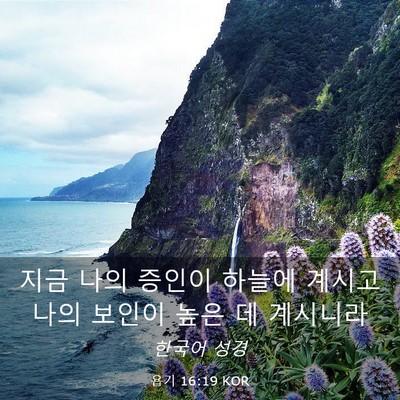 Picture 03 - 욥기 16:19 KOR - 지금 나의 증인이 하늘에 계시고 - Bible Verse Picture