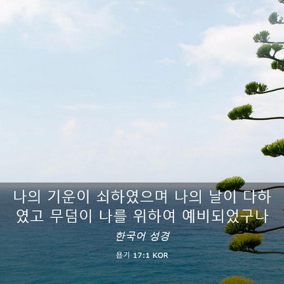 Picture 03 - 욥기 17:1 KOR - 나의 기운이 쇠하였으며 나의 날이 - Bible Verse Picture