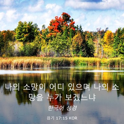 Picture 03 - 욥기 17:15 KOR - 나의 소망이 어디 있으며 나의 - Bible Verse Picture