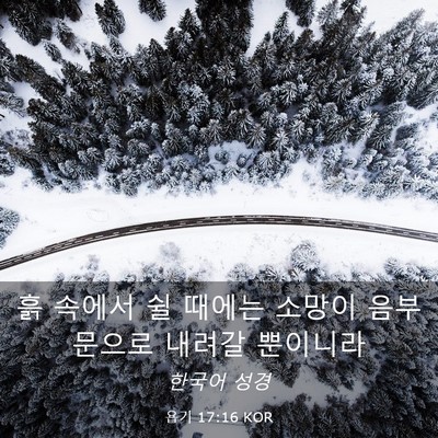 Picture 03 - 욥기 17:16 KOR - 흙 속에서 쉴 때에는 소망이 음부 - Bible Verse Picture