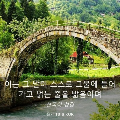 Picture 03 - 욥기 18:8 KOR - 이는 그 발이 스스로 그물에 - Bible Verse Picture