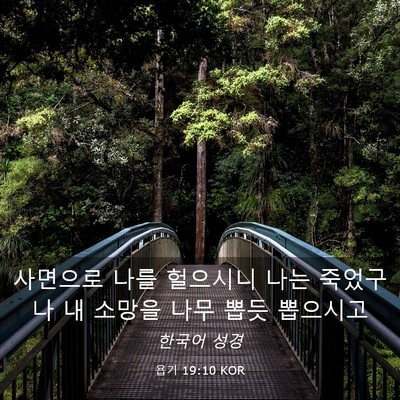 Picture 03 - 욥기 19:10 KOR - 사면으로 나를 헐으시니 나는 - Bible Verse Picture