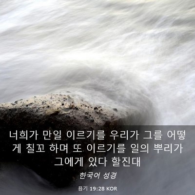 Picture 03 - 욥기 19:28 KOR - 너희가 만일 이르기를 우리가 그를 - Bible Verse Picture