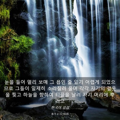 Picture 03 - 욥기 2:12 KOR - 눈을 들어 멀리 보매 그 욥인 줄 알기 - Bible Verse Picture