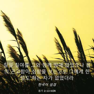 Picture 03 - 욥기 2:13 KOR - 칠일 칠야를 그와 함께 땅에 - Bible Verse Picture