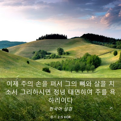Picture 03 - 욥기 2:5 KOR - 이제 주의 손을 펴서 그의 뼈와 살을 - Bible Verse Picture