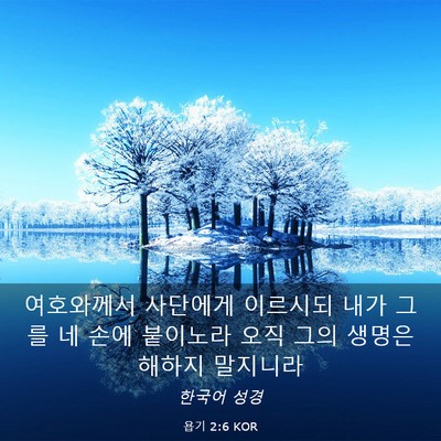 Picture 03 - 욥기 2:6 KOR - 여호와께서 사단에게 이르시되 내가 - Bible Verse Picture