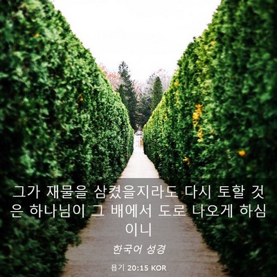 Picture 03 - 욥기 20:15 KOR - 그가 재물을 삼켰을지라도 다시 토할 - Bible Verse Picture